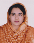 Teacher Profile
